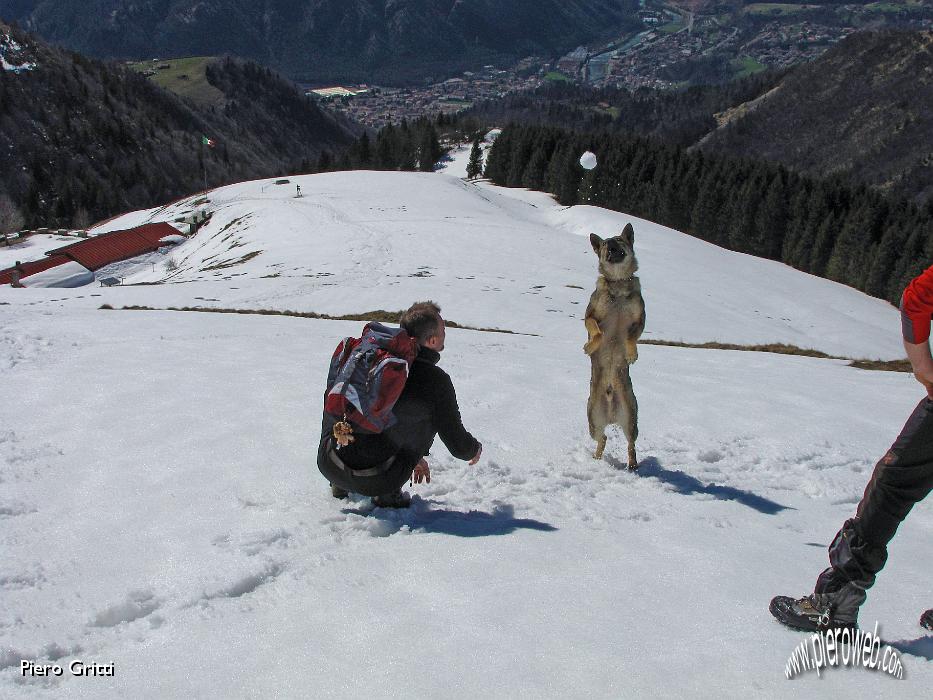 27 Beccata  al volo!.jpg